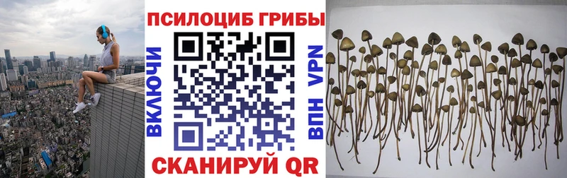 купить закладку Бабаево omg ССЫЛКА Псилоцибиновые грибы мухоморы